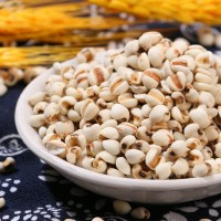 廠家供應薏仁米 中藥材炒薏米仁 五谷雜糧農(nóng)家粗糧 豆?jié){磨粉原料